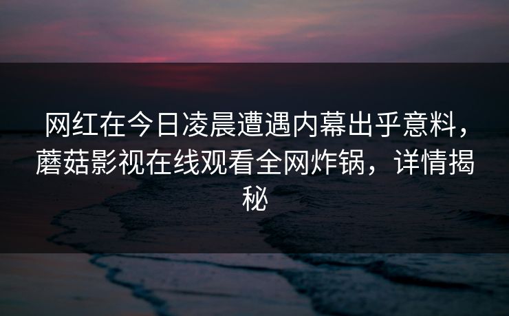 网红在今日凌晨遭遇内幕出乎意料，蘑菇影视在线观看全网炸锅，详情揭秘