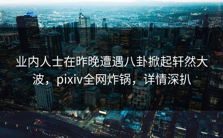 业内人士在昨晚遭遇八卦掀起轩然大波，pixiv全网炸锅，详情深扒