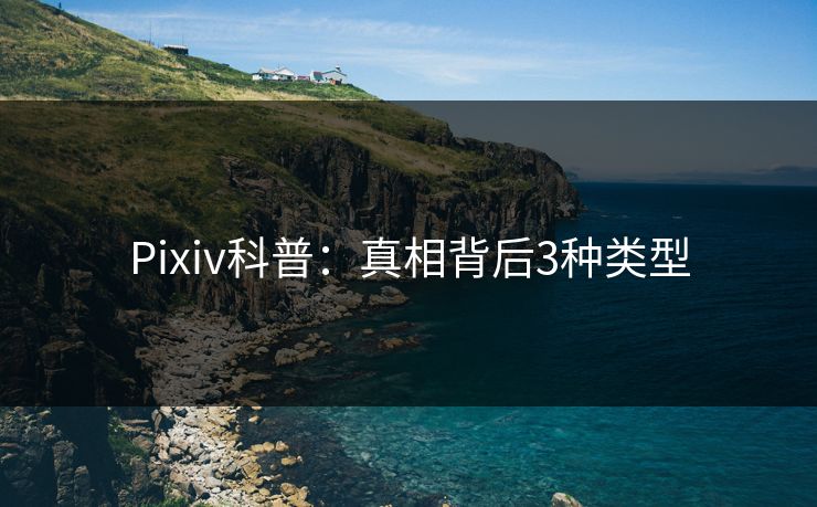 Pixiv科普：真相背后3种类型
